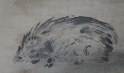 Shunko wild boar 1839