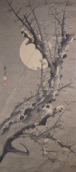 Full moon Sakura 1900