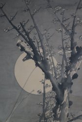 Full moon Sakura 1900