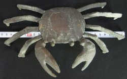 Bronze garden Kani crab 1900