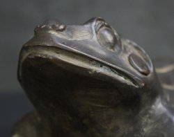 Garden frog 1900