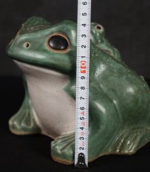 Garden frog 1970