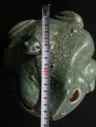 Garden frog 1970