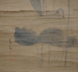 Hasu lotus ink 1800