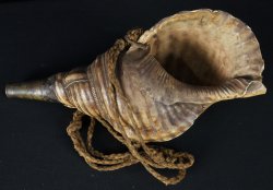 Horagai Samurai horn 1800