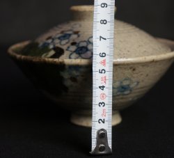 Inuyama Chawan 1900