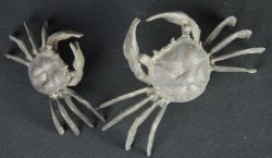 Kani garden crab 1930