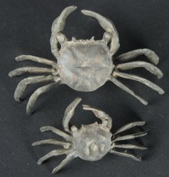 Kani garden crab 1930