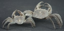 Kani garden crab 1930