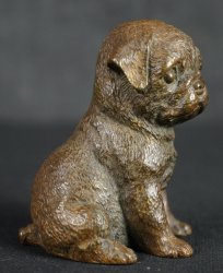 Ko-inu dog 1900