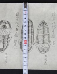 Shibata Junzou footwear 1880