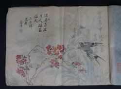 Shibata manuscript 1883