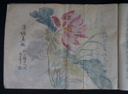 Shibata manuscript 1883