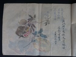 Shibata manuscript 1883