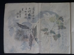 Shibata manuscript 1883