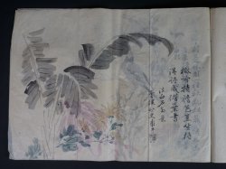 Shibata manuscript 1883