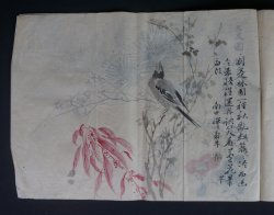 Shibata manuscript 1883