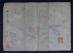 Shibata manuscript 1883