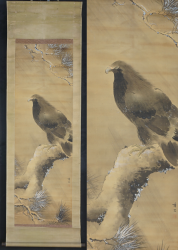Shuseki Taka eagle 1800