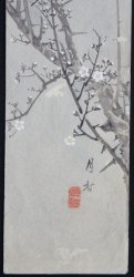 Spring Tanzaku blossom 1900