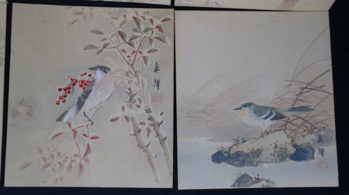 Suzume birds 1900