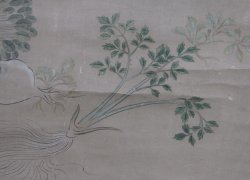 The 7 herbs Chukanobu 1800