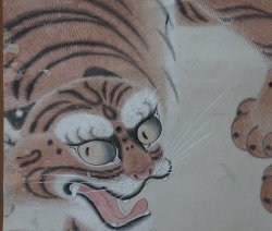 Tsugaru tiger Nekotora 1750