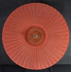 Wagasa umbrella