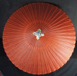 Wagasa umbrella